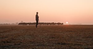 Read more about the article 4 Suns & Piano